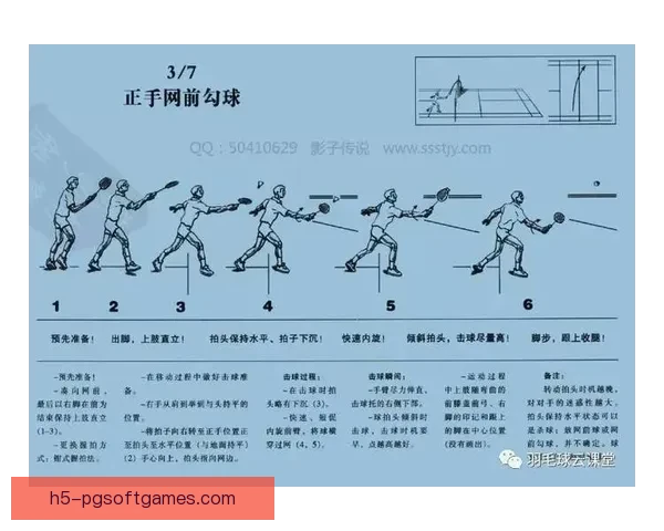 学习羽毛球技巧专业教学视频分享 学习羽毛球技巧专业教学视频分享