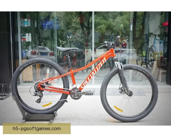 快速入门山地车骑行指南