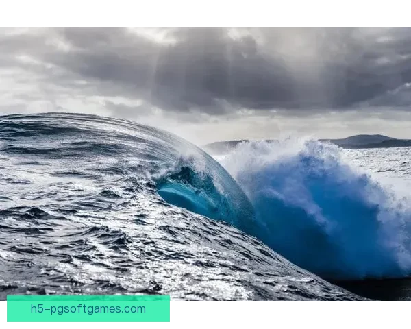 激情澎湃！冲浪风暴下的极限挑战