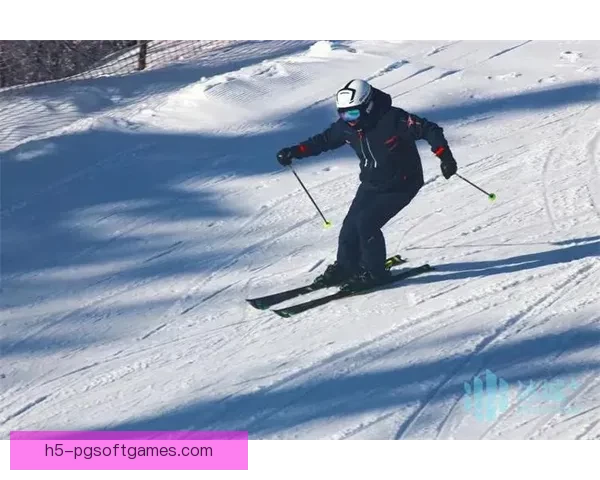 滑雪冠军：冰雪世界的王者风采