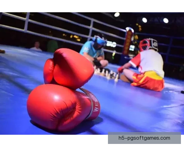 激情对决，拳击王者之路