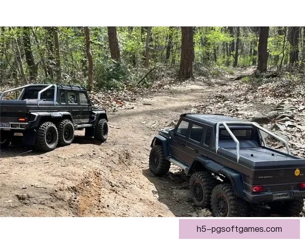 穿越林间的脚印：探寻越野跑联赛的精彩世界