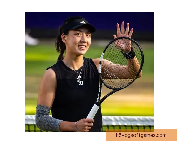 网球世界：巅峰对决，一决胜负