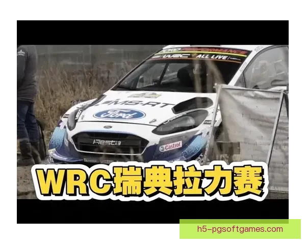 自行车大奖赛：速度与激情的盛宴