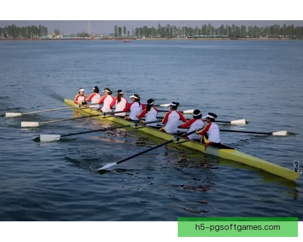 赛艇冠军：挑战极限，追逐荣耀