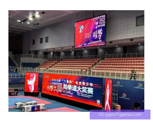 跆拳道杯赛：争霸之战的火热角逐